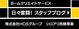 スタッフブログ