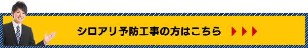 シロアリ予防対策はこちら